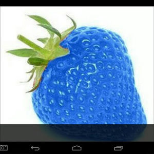 Meet your Posher, Blueburry20